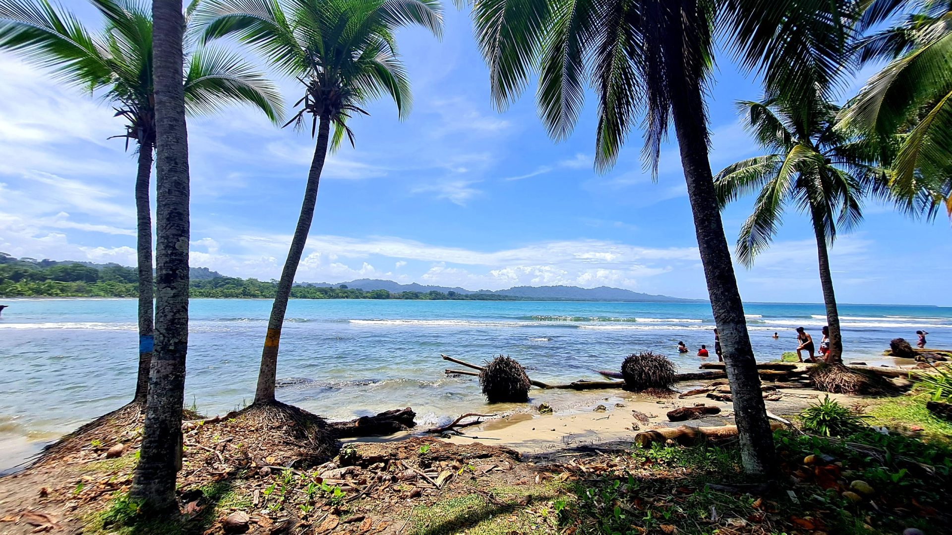 Discover the best places to visit in Costa Rica, including this beach in Manuel Antonio.