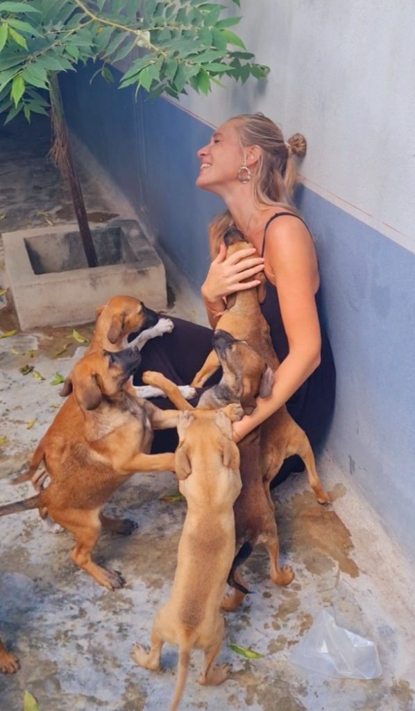 Dog shelter in Mexico.