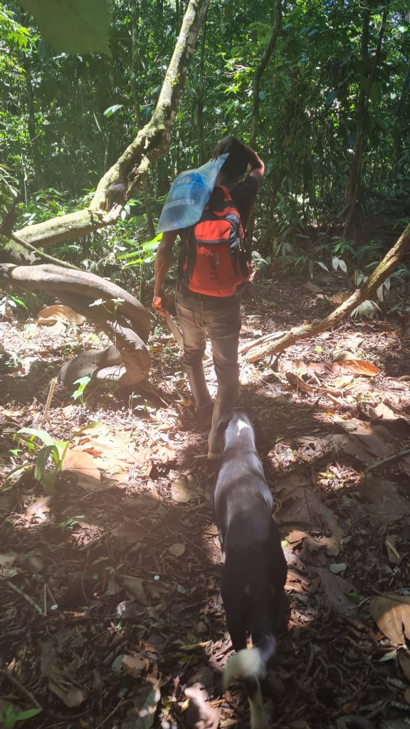 Dog and man Hiking in the Amazon jungle in Colombia