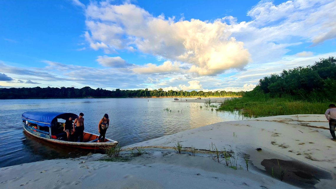 Evenings in the Amazon Jungle