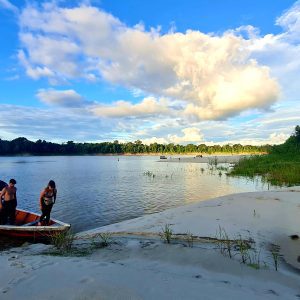 Evenings in the Amazon Jungle