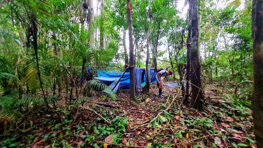 Amazon jungle adventures