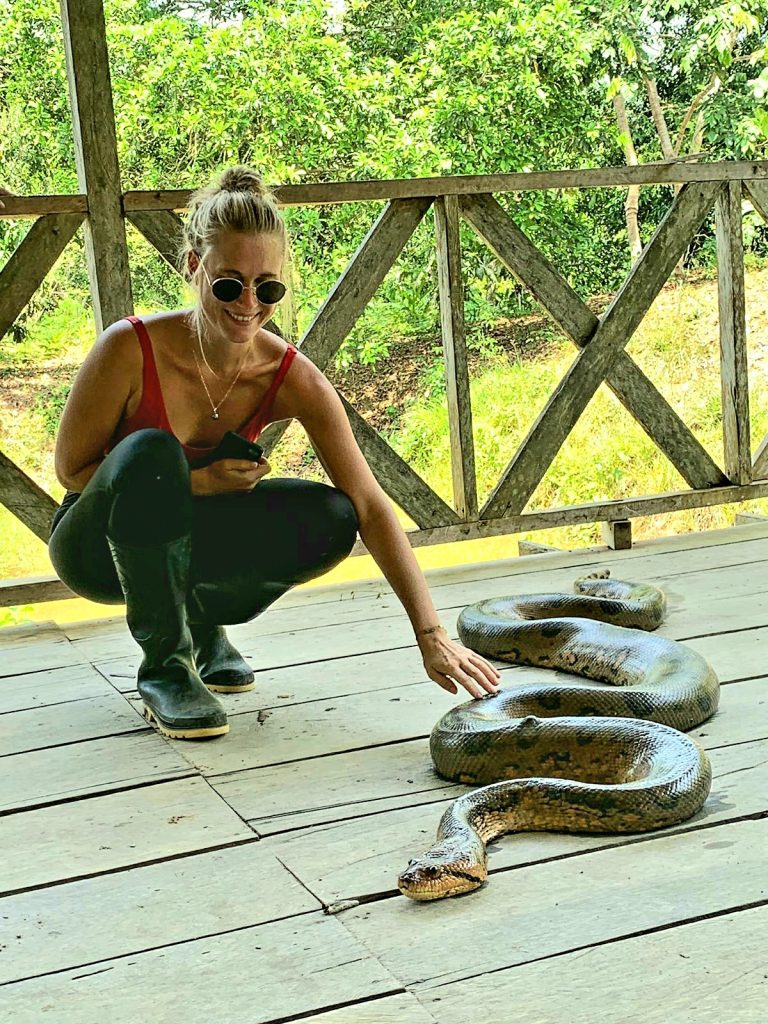 Anaconda in the Amazon Forest
