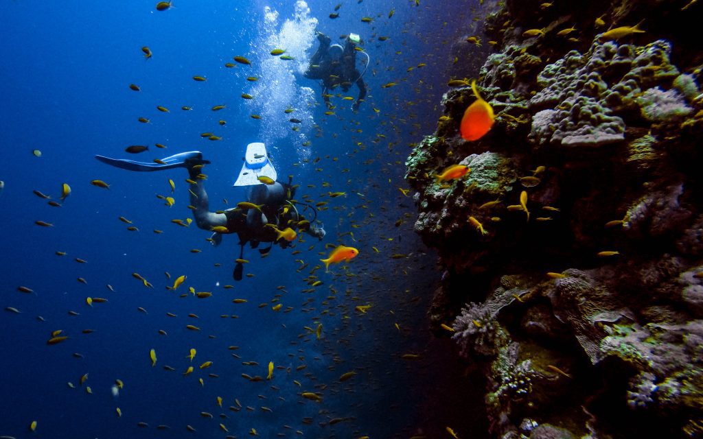 Scuba divers, one of these jobs that allow you to travel and work from anywhere