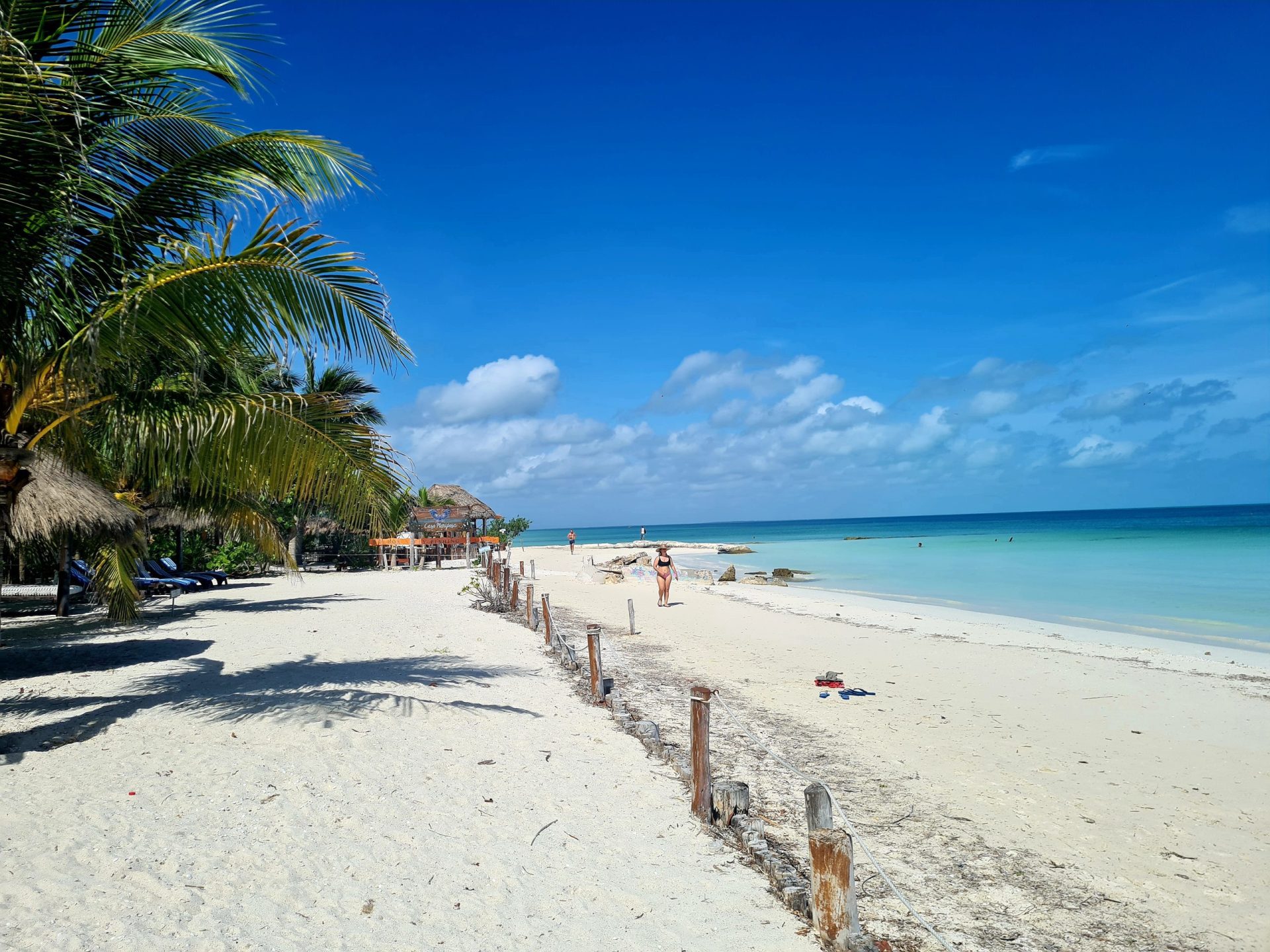 Live in the moment: Travel Tip. A palm tree, sand and sea