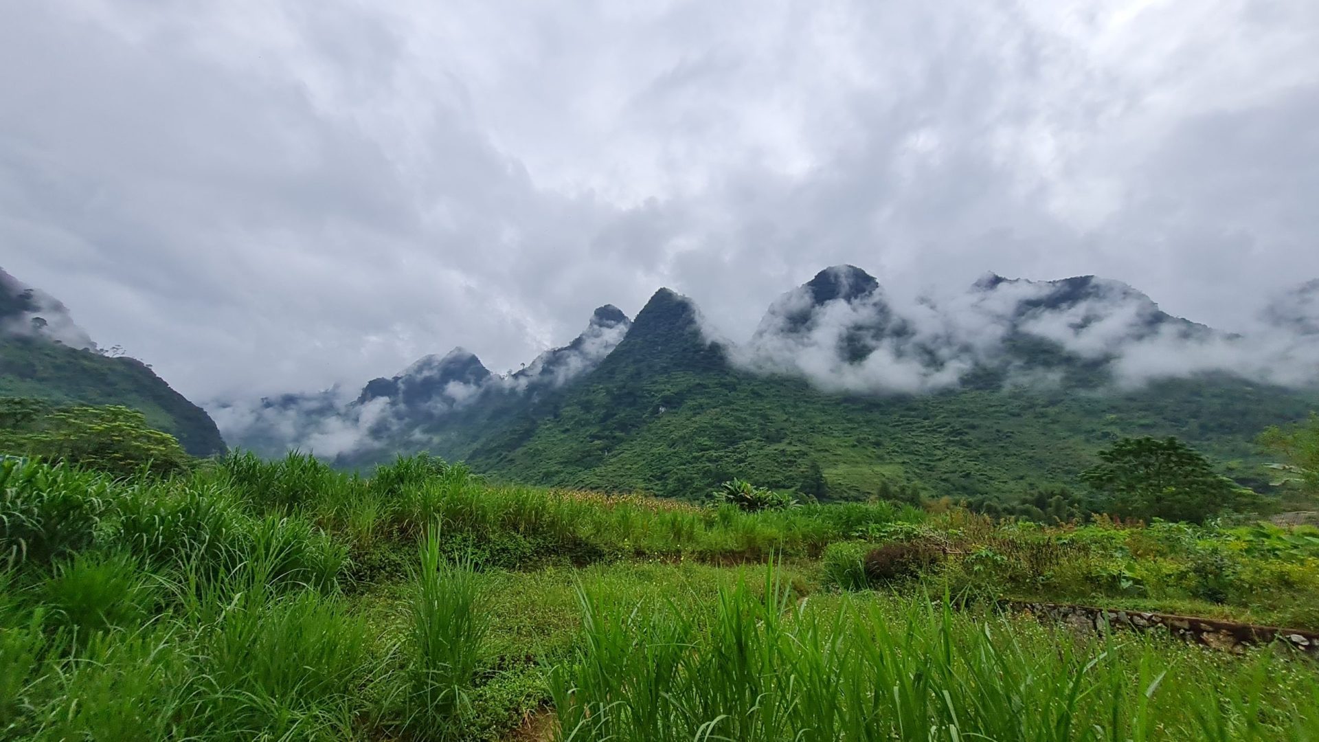 Green landscape in Vietnam