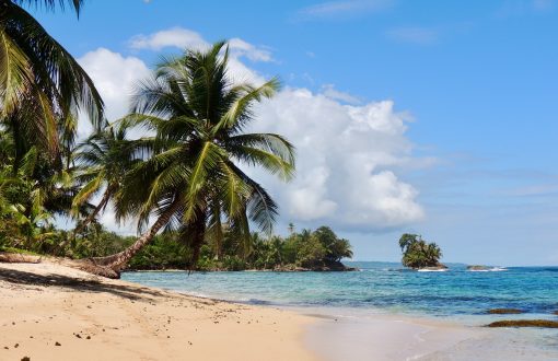 Beach in Bocas del toro