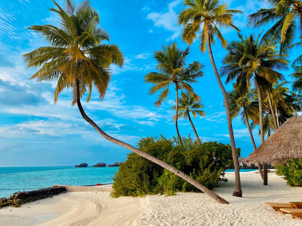 Digital nomad in paradise